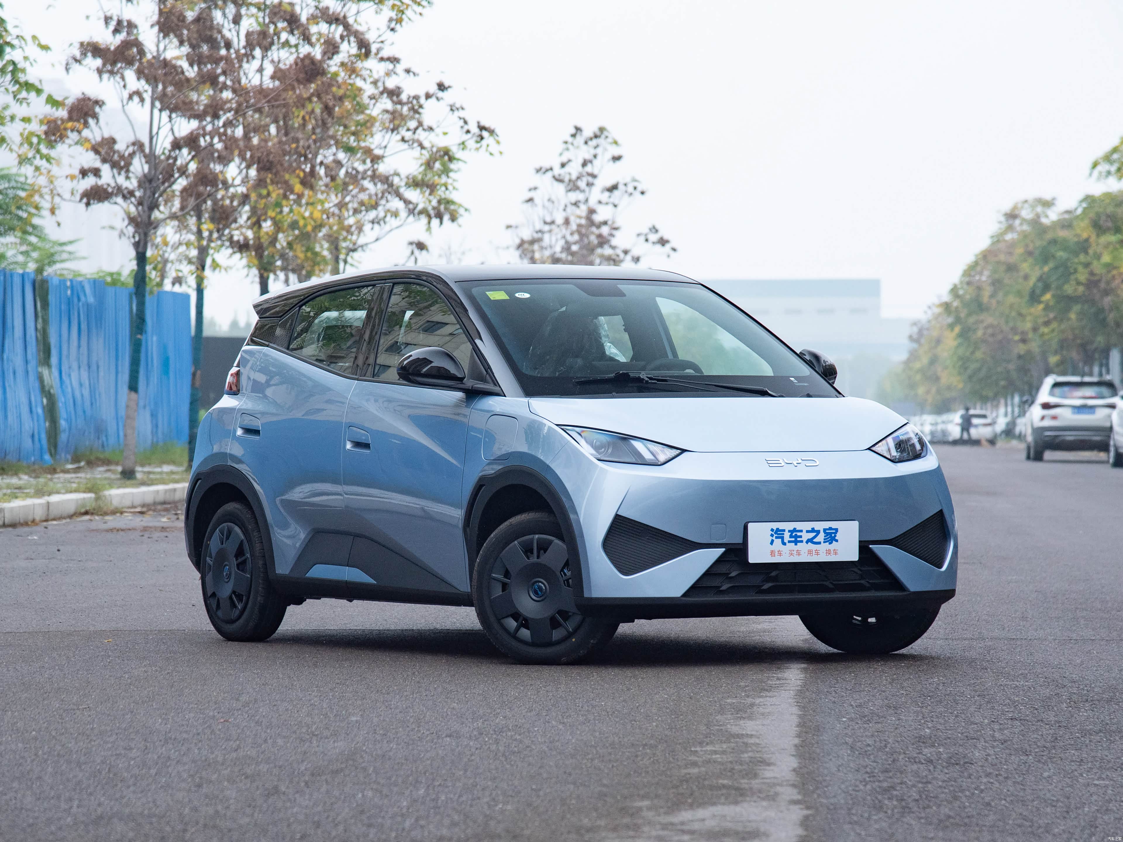 海鸥 2026款 基本型